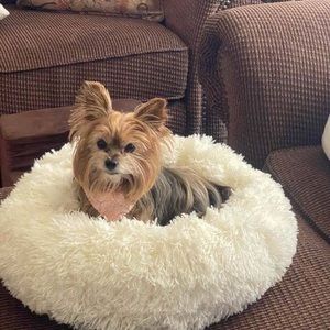 Meet your Posher, Glenda